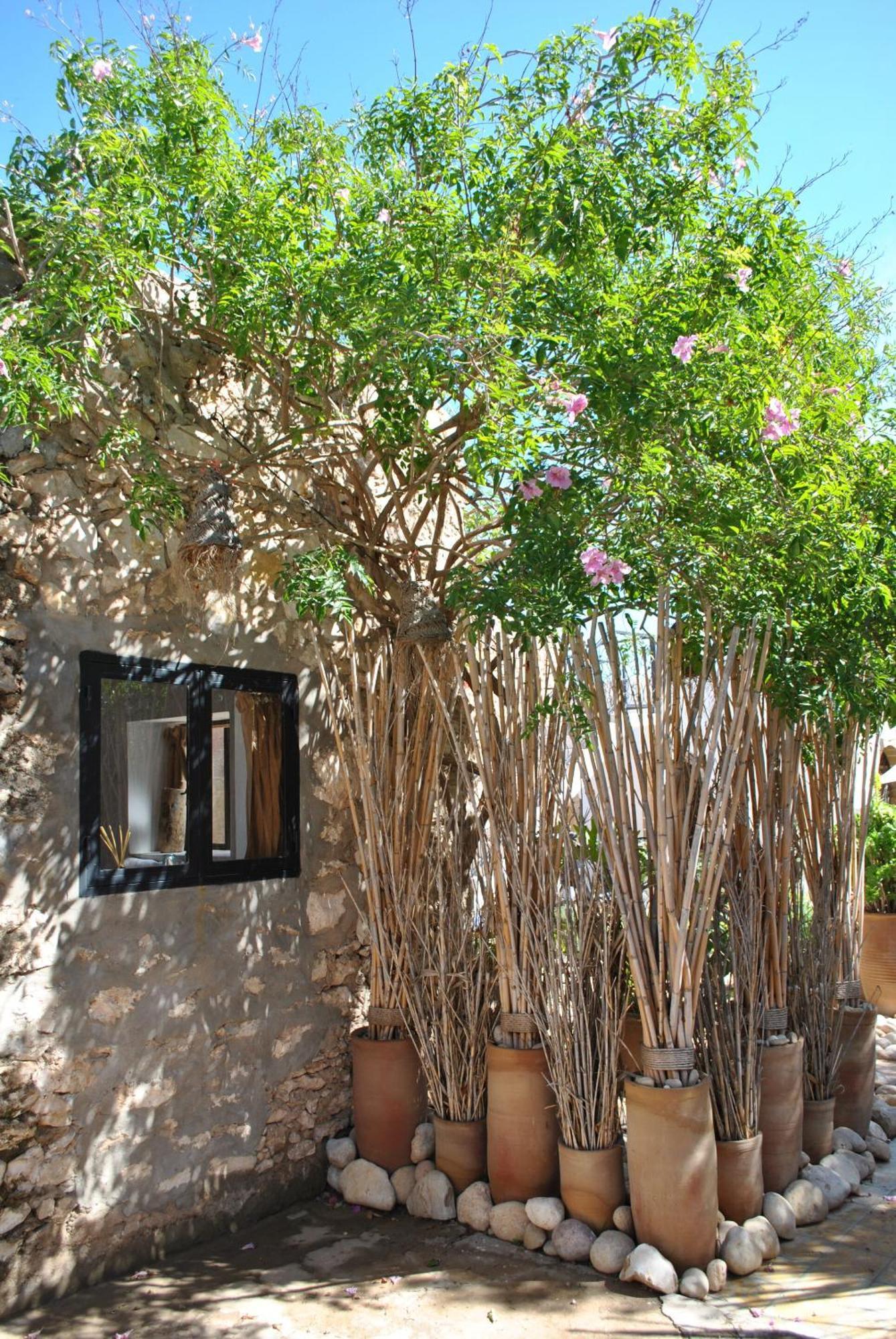 Maison Sidi Et Lalla Essaouira Ngoại thất bức ảnh